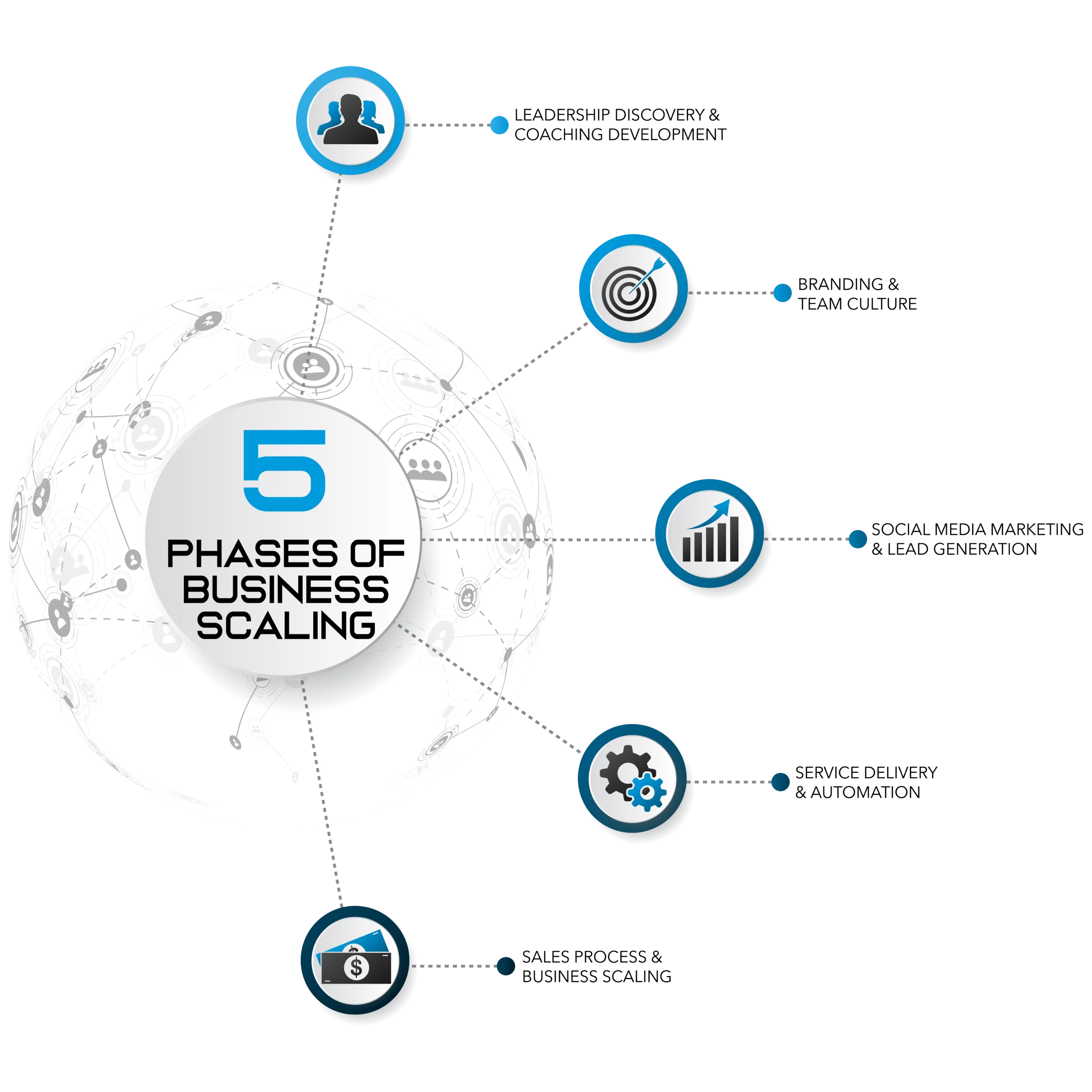 5 phases of business web